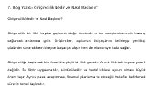lmuratyilmazl portfolyosu 3