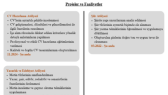 guguklusaat portfolyosu 4