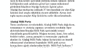 nisasrc portfolyosu 4
