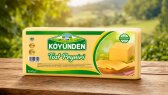 mstsvn portfolyosu 1