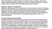prophecy portfolyosu 2