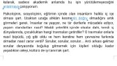 birsultan portfolyosu 1