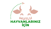 kndizpo portfolyosu 2
