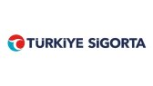 islimozgur portfolyosu 1