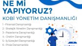 dbronze portfolyosu 1