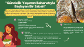 aallkaan portfolyosu 2