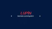 lupiiinn portfolyosu 1
