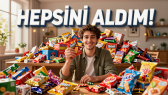 elfvengs portfolyosu 4