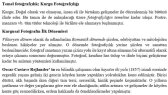 ayselgedik portfolyosu 1