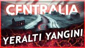 riqest portfolyosu 1