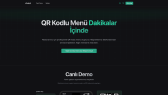 aliselcuk portfolyosu 1