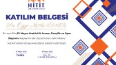 ozgemantar portfolyosu 1