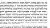 saniyeger portfolyosu 2