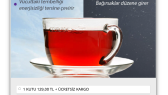 taygunuzunay portfolyosu 2