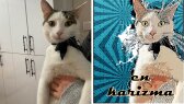 fatima__gokce portfolyosu 3