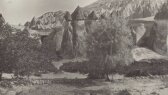 avarekoray portfolyosu 4