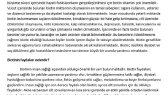 gulsahustunbas portfolyosu 1