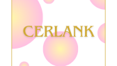 cerlank portfolyosu 2