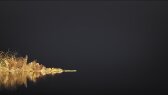 muhammetkoksal12 portfolyosu 3