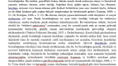 eloke78 portfolyosu 1