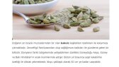 articlebuilder portfolyosu 1