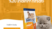 tlhileri portfolyosu 1