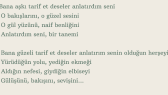 demirhanbey portfolyosu 1