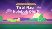 mehmetknds portfolyosu 1