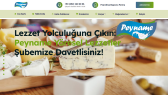 hkntll portfolyosu 4