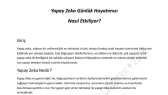 1dreamwriter portfolyosu 1