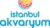 velqor portfolyosu 2