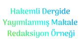 erdemozucelik portfolyosu 3