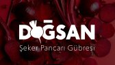 sedanururhan portfolyosu 1