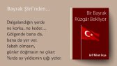 voiceoguzgulsen portfolyosu 2