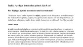 aybegumkarakus portfolyosu 3