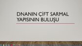 kostenlos portfolyosu 2
