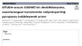 tahsinuluc portfolyosu 1