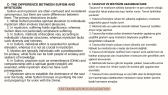 fezfatmazehra portfolyosu 1