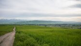 numanbey1 portfolyosu 3