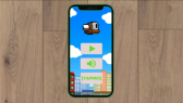 falcondev portfolyosu 2