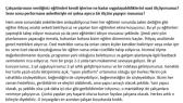 denizbasoglu portfolyosu 1