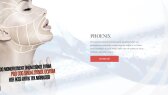 wpdesign portfolyosu 3