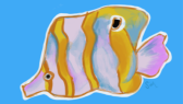 sln_gry portfolyosu 1