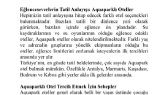 nesegence portfolyosu 1