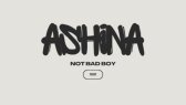 ashina0 portfolyosu 3