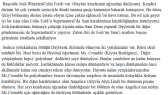 berfingul portfolyosu 1