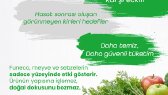 furkanck1 portfolyosu 1