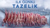 kasimzaimoglu portfolyosu 1
