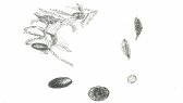 sandmadestudio portfolyosu 1