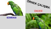 cihanincegul portfolyosu 2